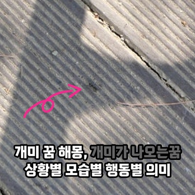 개미 꿈 해몽, 개미가 나오는꿈 상황별 모습별 행동별 의미
