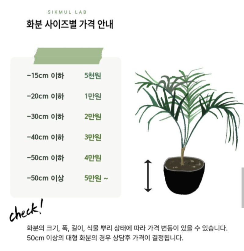 [식물랩] 분갈이 비용 안내