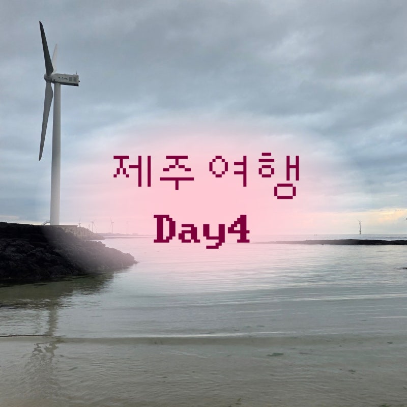 제주 동쪽여행 Day4 | 코난해변, 성산맛있네식당, 하토말차, 파리바게트제주공항탑승점