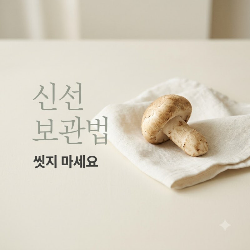 "절대 씻지 마세요.." 참송이버섯 6일 넘겨도 싱싱하게 보관하는 법