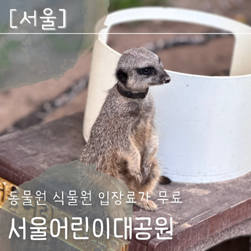 서울어린이대공원 아이랑 주말 나들이 주차장 주차요금 동물원 후기