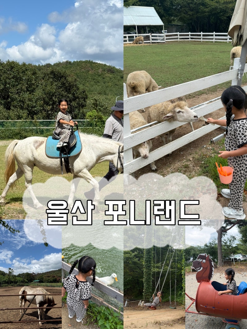 부산근교 아이랑 승마체험 양 먹이주기 가능한 울산포니랜드 9월 10월 가볼만한곳 추천