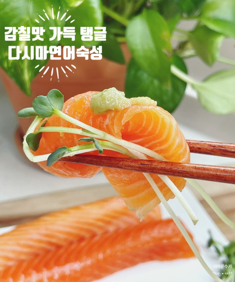 연어 다시마 숙성법 콘부지메 시간 팁! 쫀득한 감칠맛 폭발 레시피