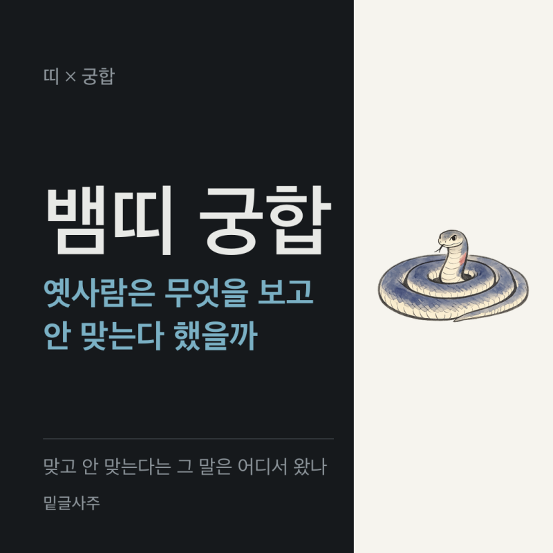 뱀띠 궁합, 옛사람은 무엇을 보고 안 맞는다 했을까요