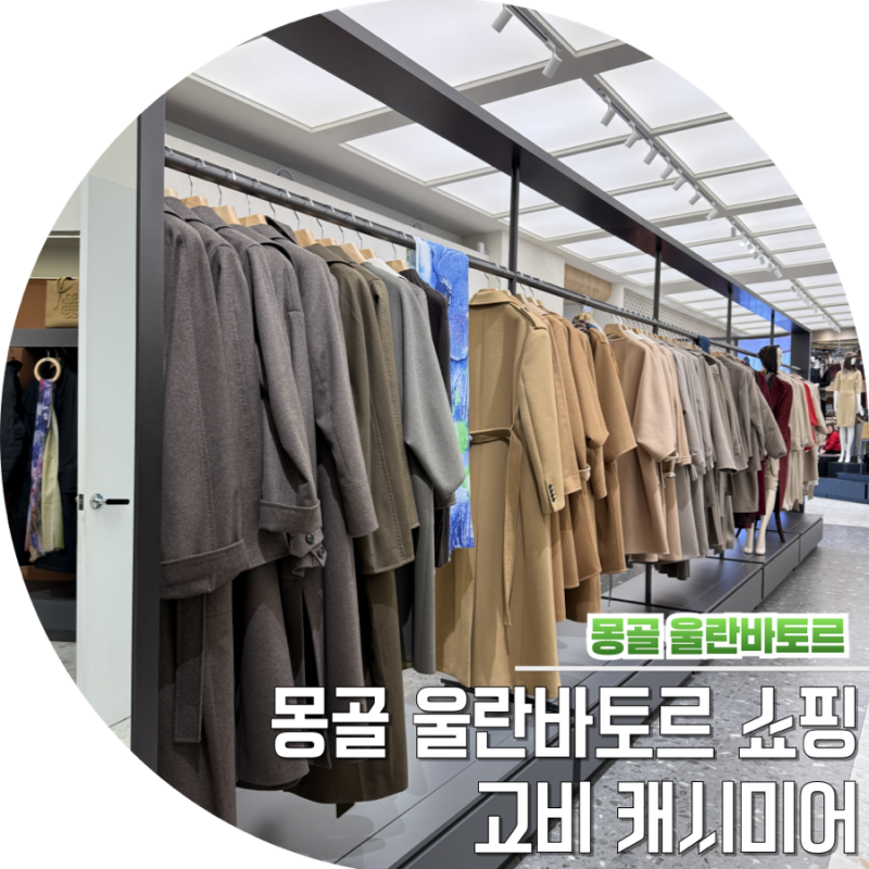 몽골 울란바토르 쇼핑리스트 캐시미어 고비 팩토리 머플러
