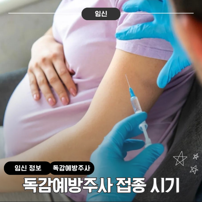 독감 접종시기 언제가 좋을까? 임산부 독감주사 접종시기 총정리