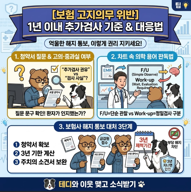 [보험 고지의무 위반] 1년 이내 추가검사 재검사 기준 & 보험사 계약 해지 통보 대응법