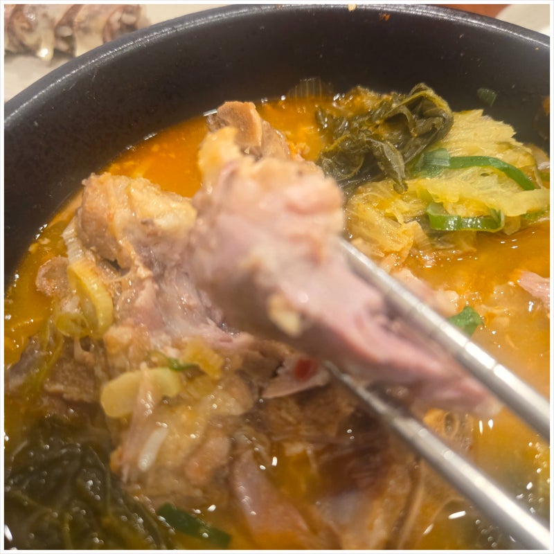 부산 국밥 맛집 임영웅 가수 추천 해운대 국밥 찐맛집! 합천돼지국밥 해운대본점