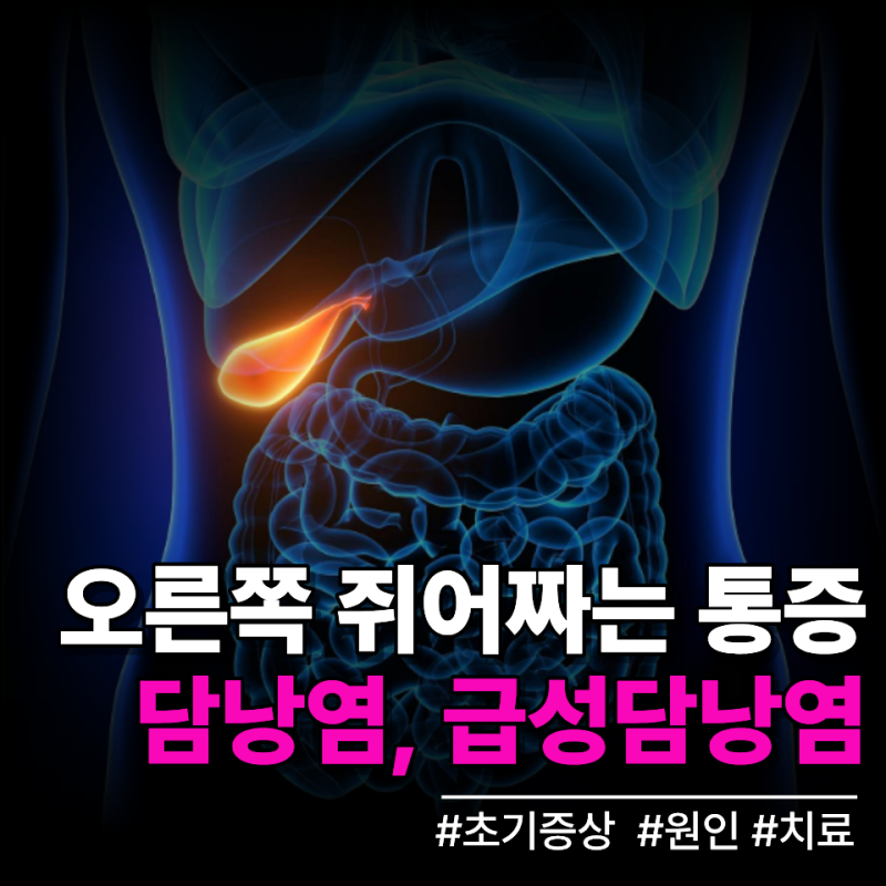 저녁 먹고 오른쪽 배가 갑자기 아프다? 단순 체기와 다른 담낭염 신호 알아두세요
