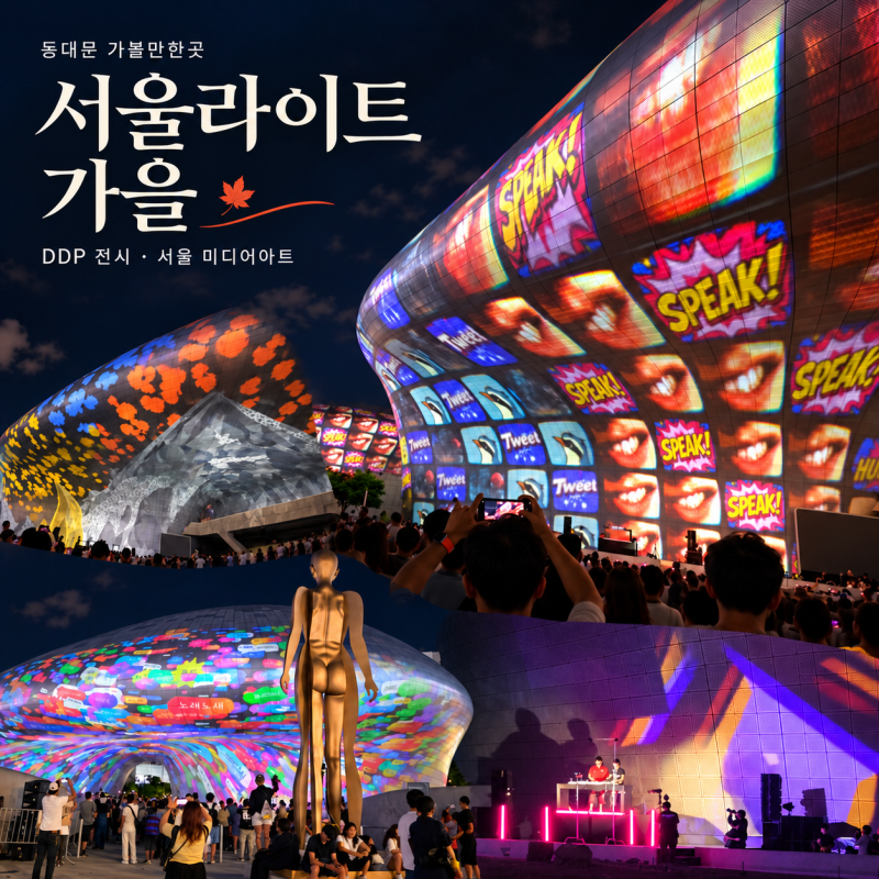 동대문 가볼만한곳 서울라이트 DDP 가을 전시 서울 미디어아트 후기