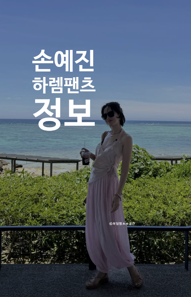 손예진 하렘팬츠 엄마들이 탐내는 이 바지 어디꺼?