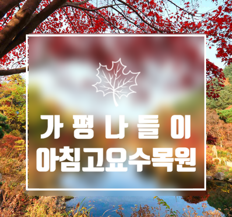 아침고요수목원 입장료와 할인대상, 주차비와 운영시간 정리!