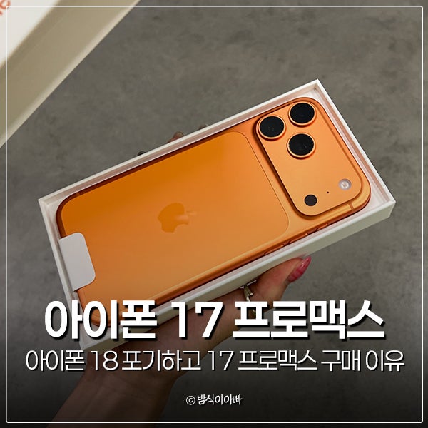 아이폰 18 포기하고 17 프로맥스 자급제 구매 이유 후기