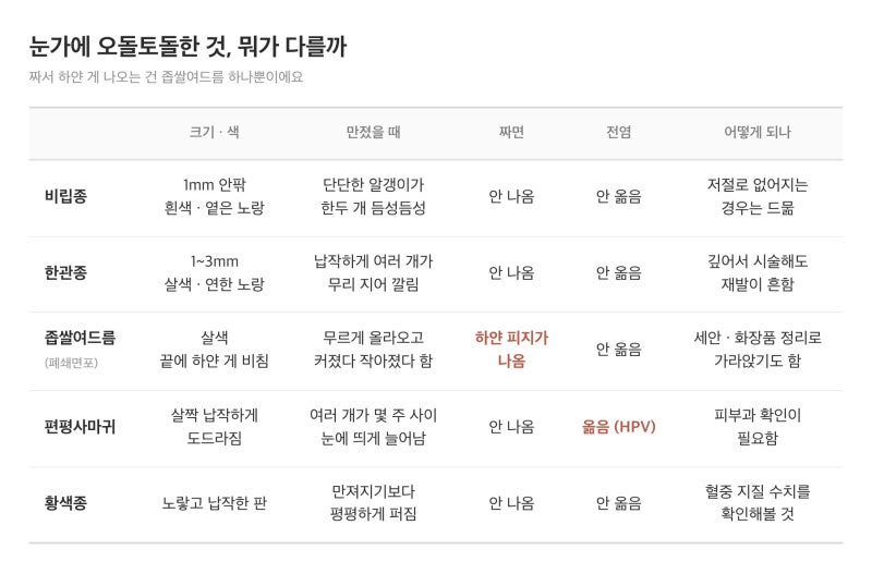 눈가 오돌토돌 이거 뭐지? 비립종 한관종 편평사마귀 구별법 (눈밑 좁쌀 짜면 안 되는 이유)