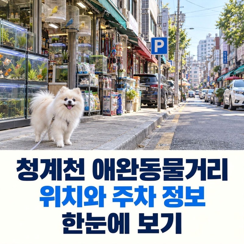 청계천 애완동물거리 위치와 주차 정보 한눈에 보기