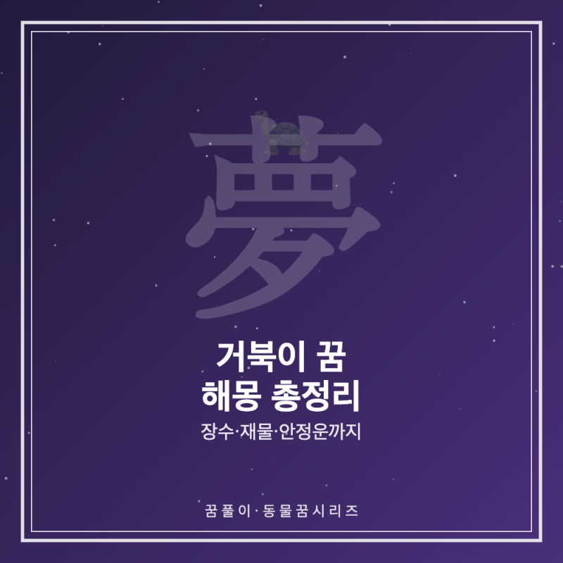 거북이 꿈 해몽 - 상황별 의미 총정리 (장수운·재물운·태몽)