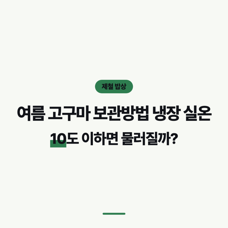 여름 고구마 보관방법 냉장 실온, 10도 이하면 물러질까?