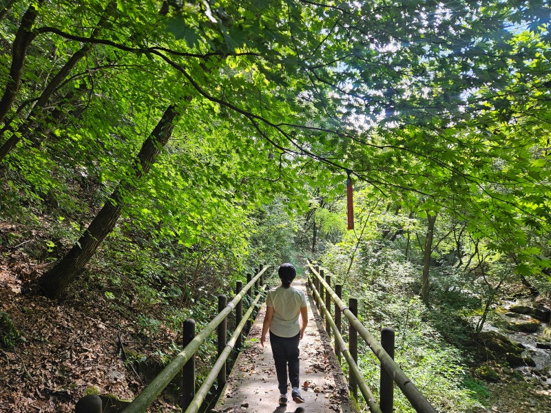 [원주] 치악산 둘레길 2코스 | 초보자 코스