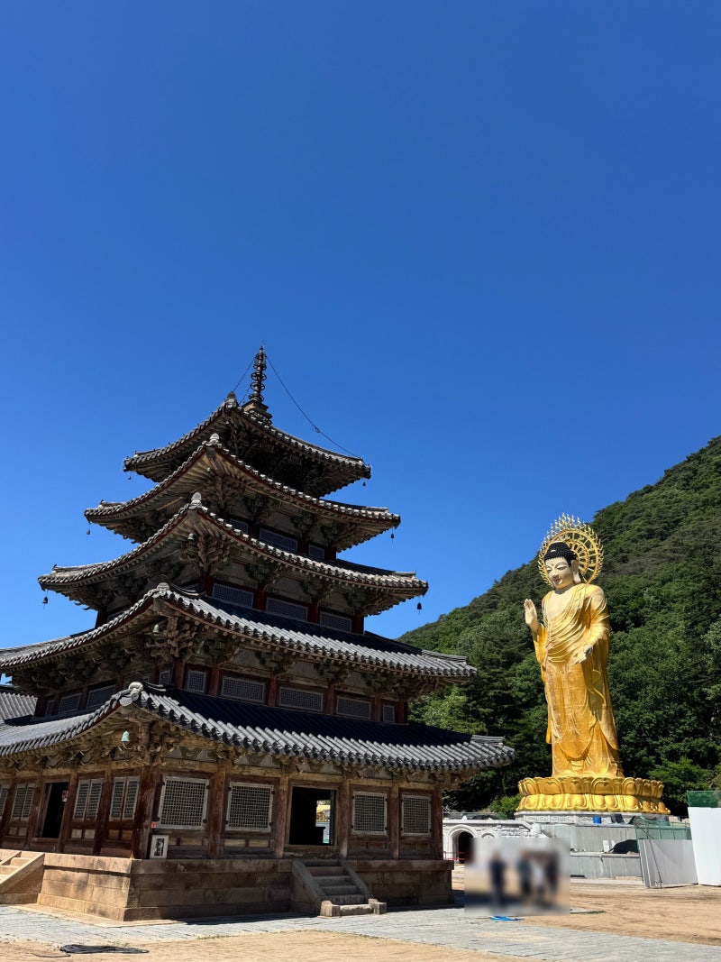 報恩旅遊景點：俗離山法住寺國寶三點巡禮與世祖路綠色散步 (旅遊#30)