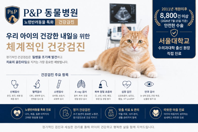 판교 고양이 정밀 건강검진｜노령묘 종합 혈액검사 항목과 비용 안내