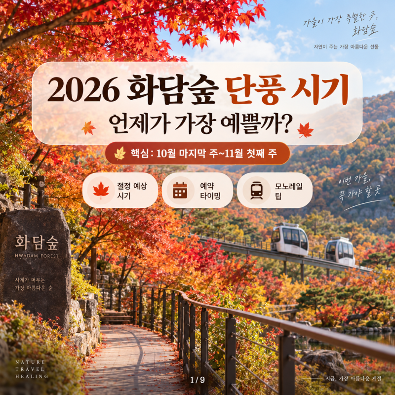 2026 화담숲 단풍 시기 언제가 좋을까? 절정 예상과 예약 팁