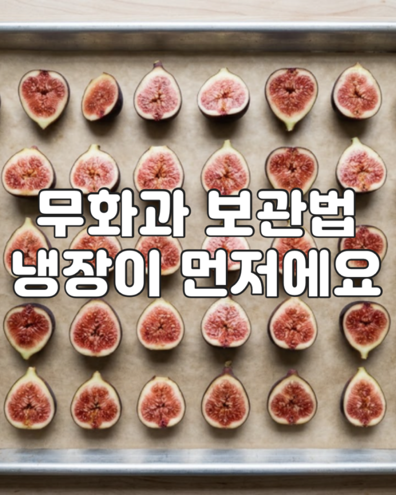 이틀 만에 물러져서 찾아본 무화과 보관법, 냉장이 먼저예요