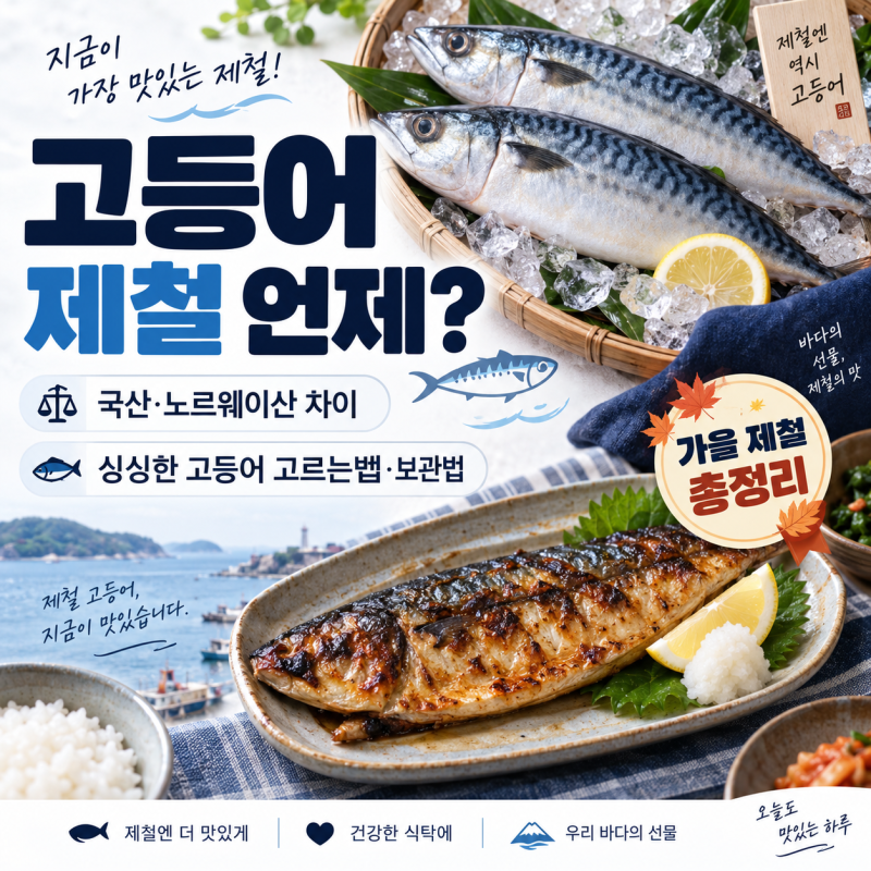 고등어 제철 언제? 국산·노르웨이산 차이·싱싱한 고등어 고르는법·보관법 총정리