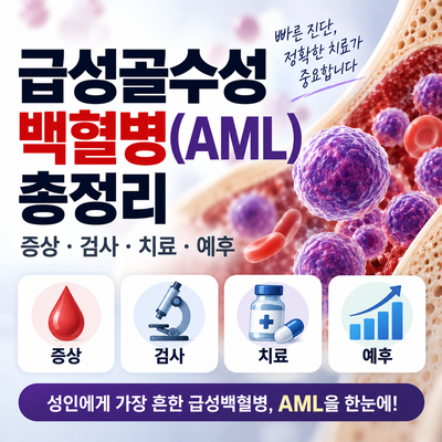 2026 급성골수성백혈병(AML) 총정리｜증상·검사·치료·예후