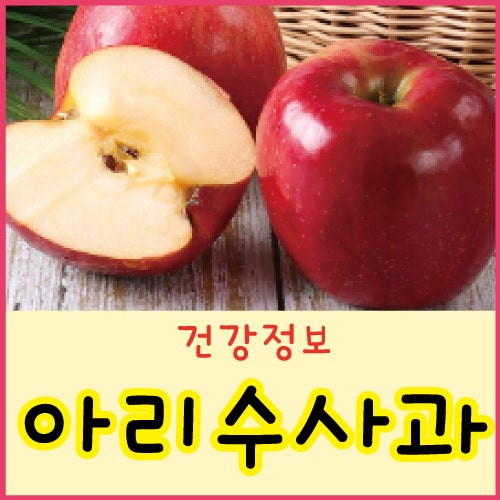 아리수사과 특징 뜻 당도 사과품종 아리수사과 가격 수확시기