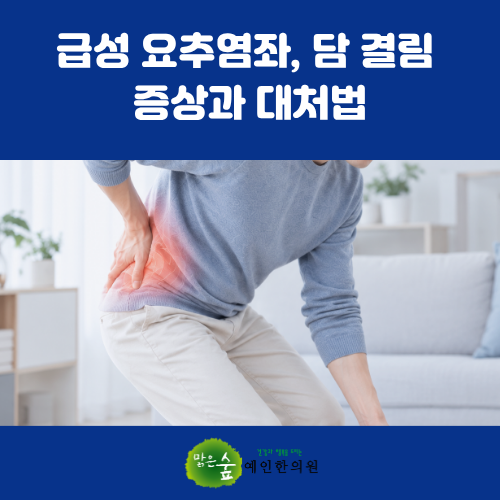 울산 무거동한의원 급성 요추염좌, 담 결림 증상과 대처법 [근골격계 6부]
