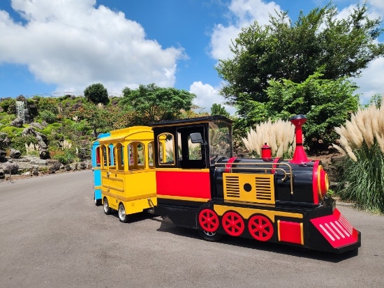 濟州東部舊左旅遊路線：充滿看點的濟州童話村觀光列車體驗分享