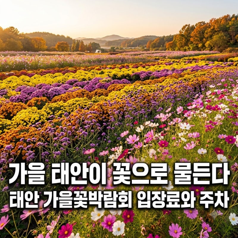 가을 태안이 꽃으로 물든다, 태안 가을꽃박람회 입장료와 주차