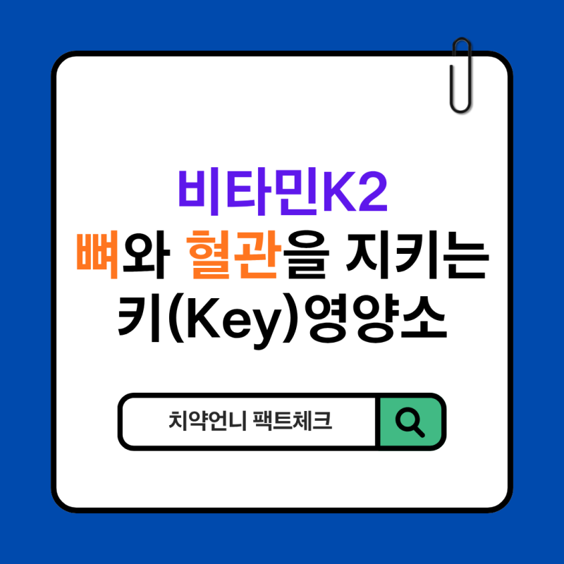 비타민K2 효능, 뼈와 혈관 두 가지