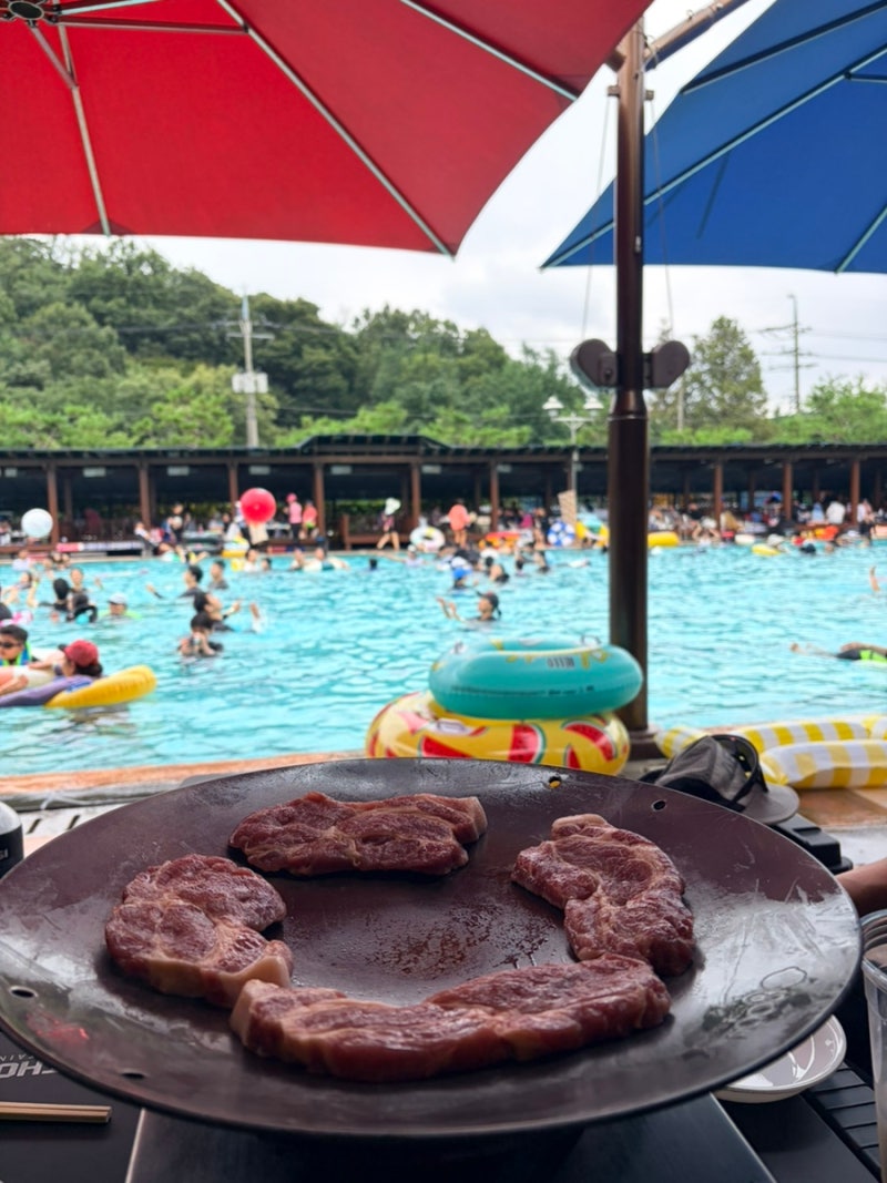 방학 없는 직장인은 서글프다 (통일로 수영장 휴일 방문 후기)