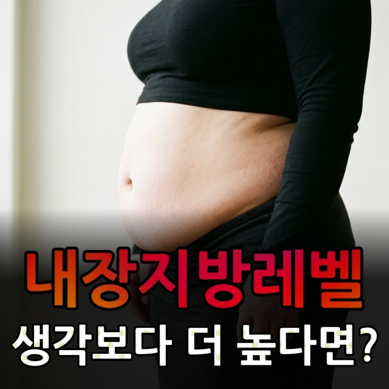 내장지방 빼는법 내 생각보다 인바디 내장지방레벨 높다면?