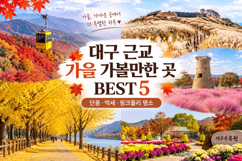 대구 근교 가을 가볼만한 곳 BEST 5 (단풍·억새·핑크뮬리 명소)