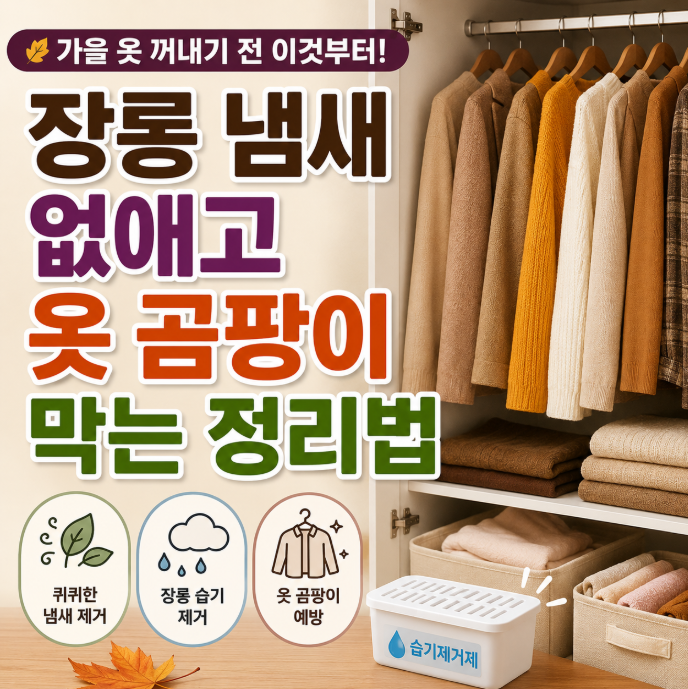 가을 옷 꺼내기 전 이것부터! 장롱 냄새·옷 곰팡이 막는 정리법