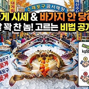 소래포구 가을철 꽃게 시세 & 바가지 안 당하고 살 꽉 찬 놈 고르는 법