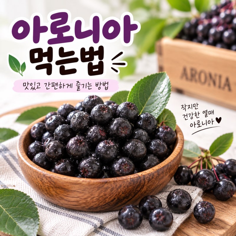 아로니아 먹는법 생과 분말 주스 맛있게 먹는 방법