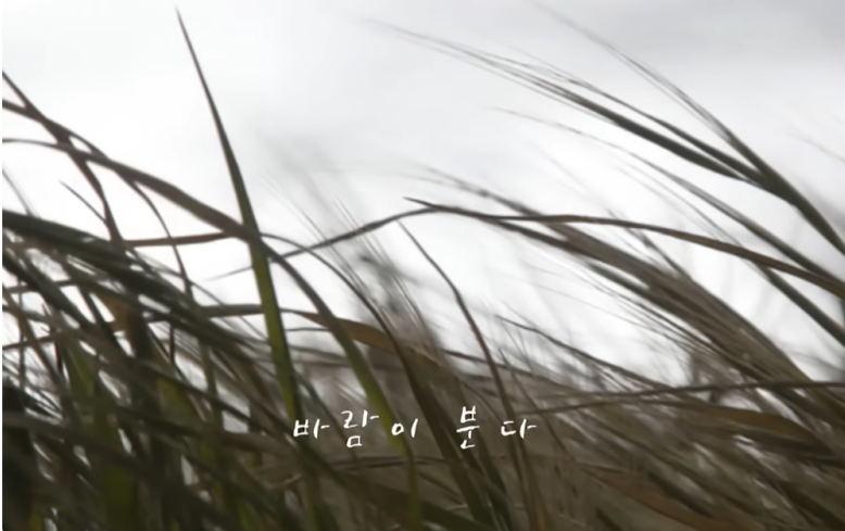 불꽃이 멈춘 자리에 남은 건, 이소라의 목소리였다