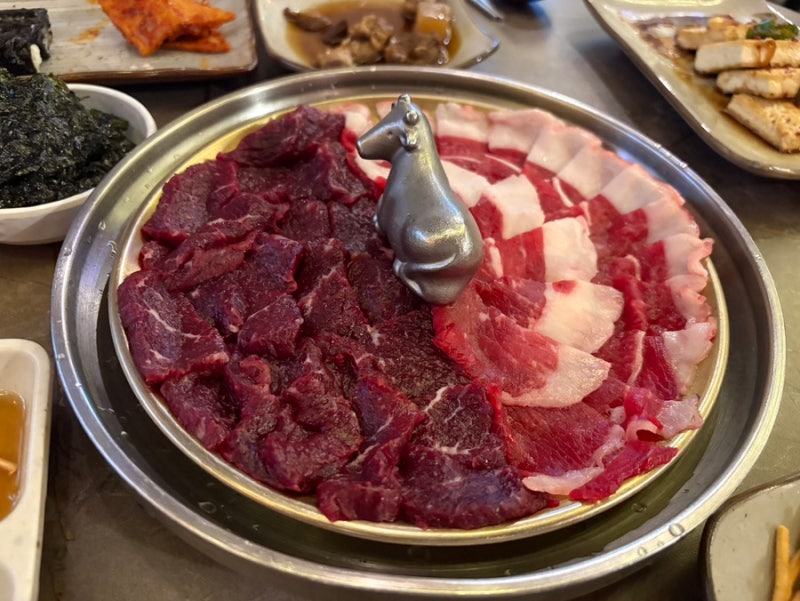 대구 교동 뭉티기 맛집 뭉돌이뭉티기 오드레기가 킥