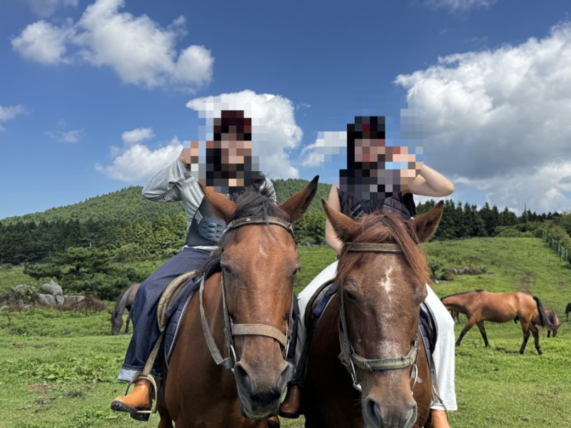 [제주도가볼만한곳] 친구랑 2,500m 코스 대만족! 제주 어승생승마장 제주승마체험 (제주도2박3....