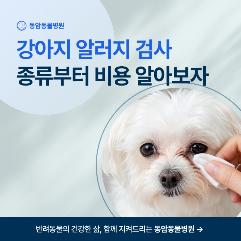 [인천 남동구] 강아지 알러지 검사 종류부터 비용, 실제 정확도까지 솔직 총정리