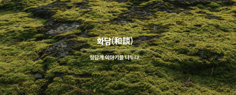 화담숲 예약 방법부터 이용 팁까지 완벽 정리 | 입장시간·모노레일·관람 꿀팁