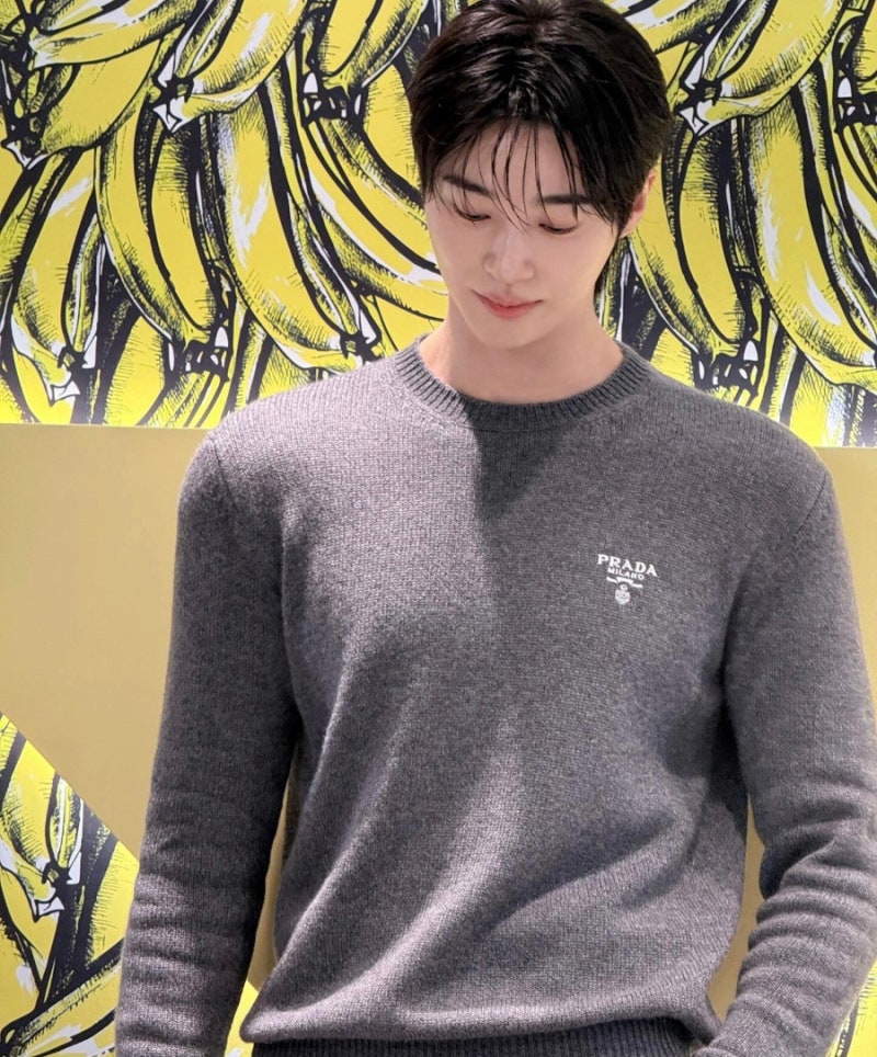 "190cm 문짝남" 변우석 프로필 나이 논란 키 MBTI  학력  군대  작품  선재 업고 튀어