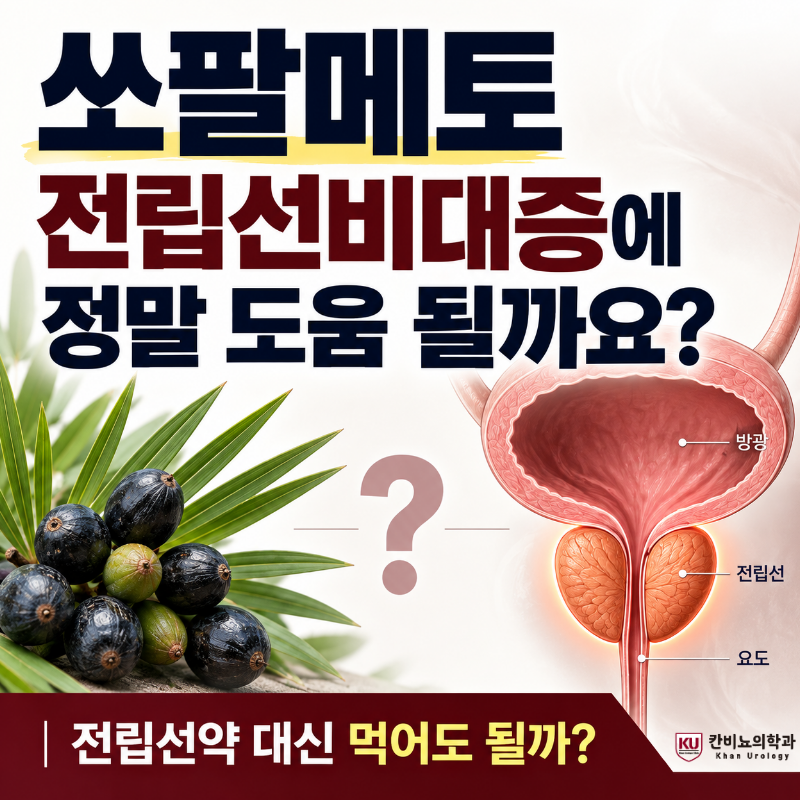 쏘팔메토 전립선비대증에 정말 도움이 될까요?