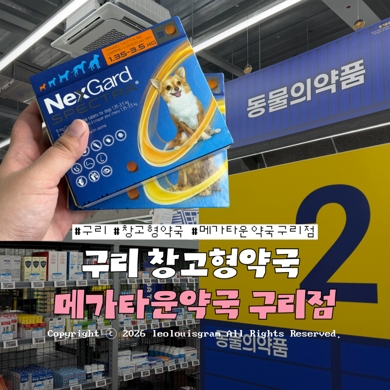 구리 창고형약국 메가타운약국 구리점 강아지 심장사상충약 넥스가드 스펙트라 최저가 내돈....