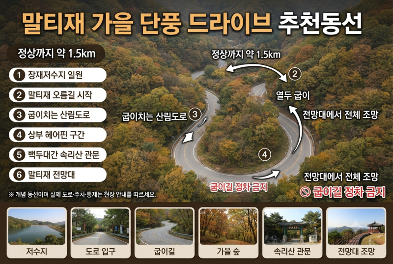 보은 말티재 가을 드라이브｜굽이길을 달리는 것보다 위에서 봐야 합니다, 열두 굽이 단풍길....