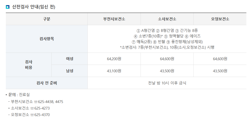 임신 준비 필독 / e보건소 산전검사 & 보건소 산전검사 차이 및 검사 후기 (부천 산전검사 / 임....