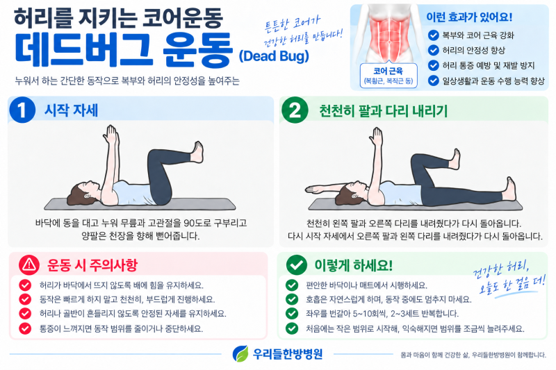 허리가 아프다면 코어 근육을 키워보세요. 데드버그(Dead Bug)